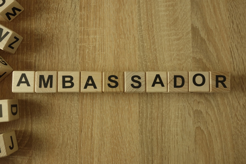 Wooden blocks which says ambassador