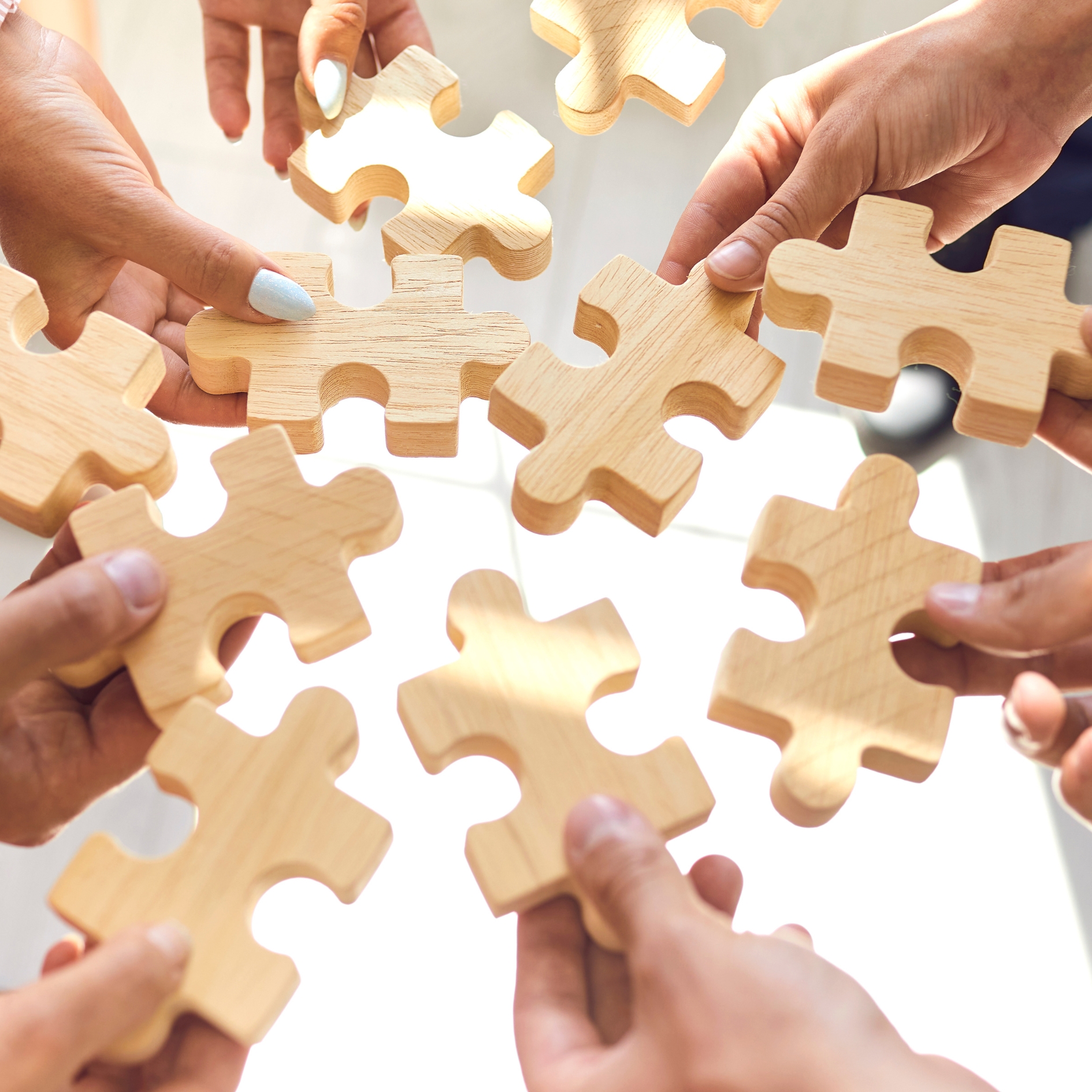 Solutions for Collectives & Networks