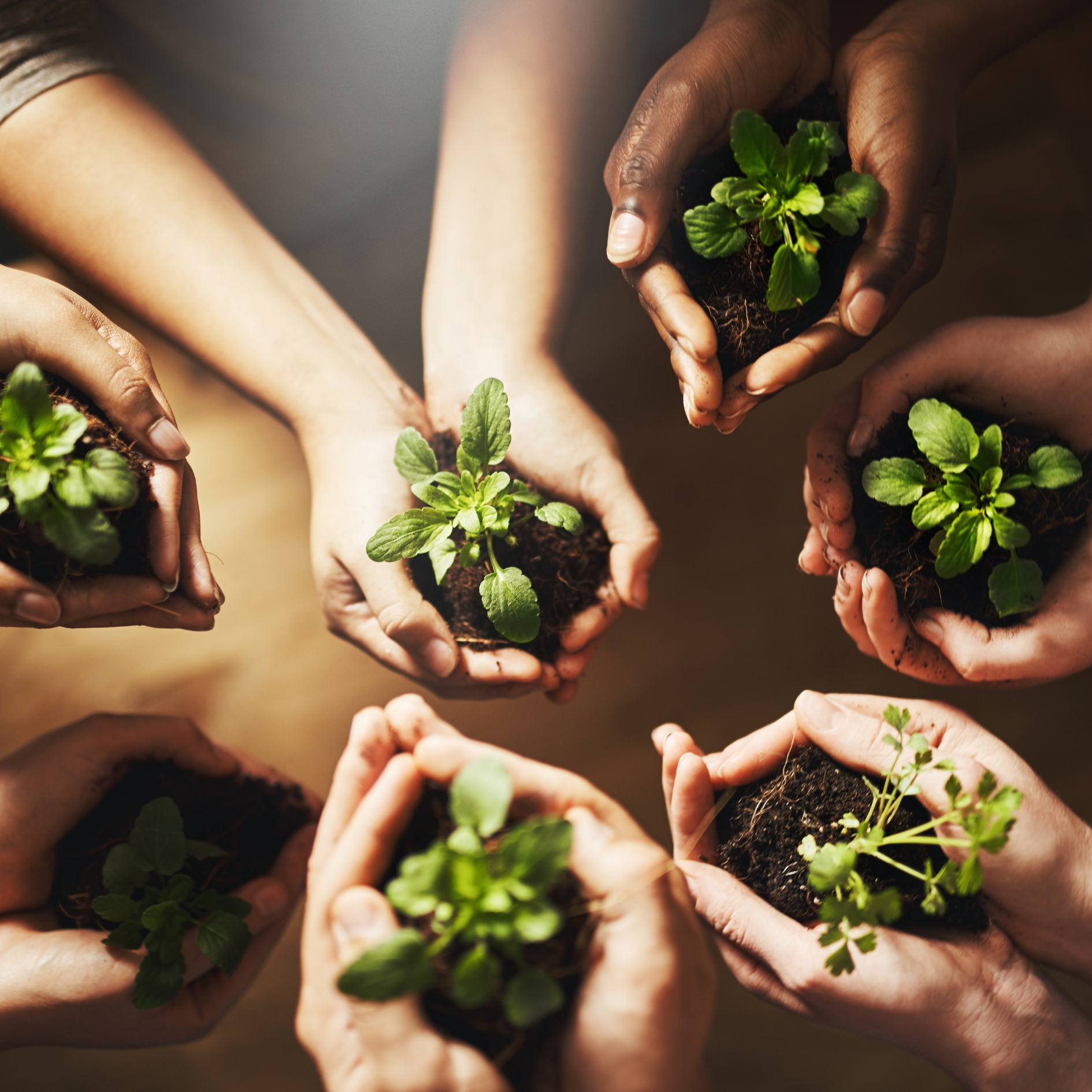 Solutions for COs & CSOs