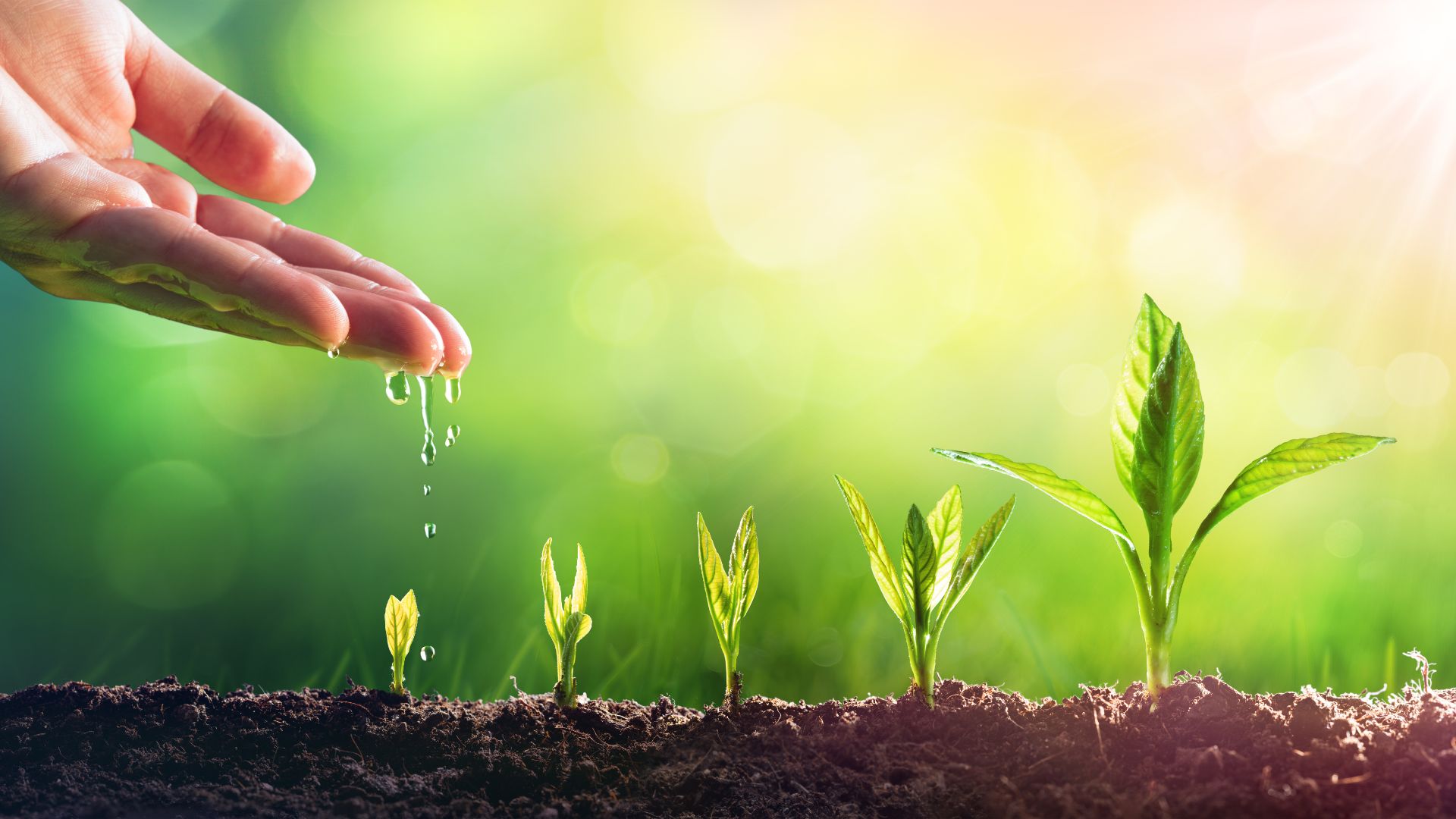 Solutions for Leaders