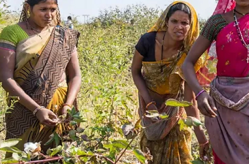 Scaling Social Impact